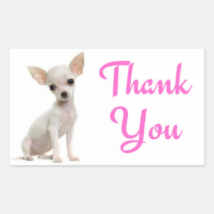 Dankjewel Chihuahua Puppie Hond Roze Stickers