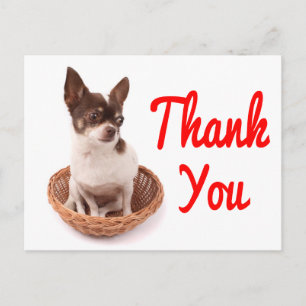 Dankjewel Chihuahua Puppies Hond Postkaart
