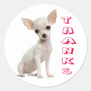 Dankjewel Chihuahua Puppies Hond Stickers / Zegels
