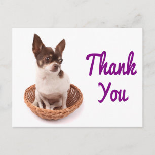 Dankjewel Chihuahua Puppytje Hond Ansichtkaart Briefkaart