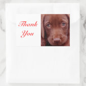 Dankjewel Chocolade Labrador Retriever Sticker (Tas)