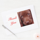 Dankjewel Chocolade Labrador Retriever Sticker (Envelop)