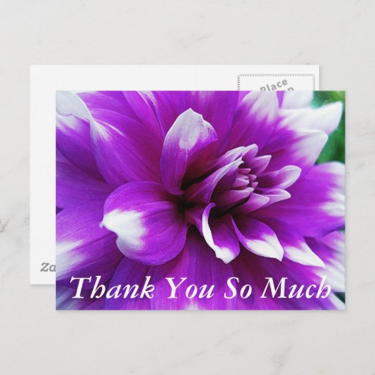 Dankjewel kaart met Dahlia achtergrond (Voorkant / Achterkant)