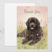 Dankjewel kaart met een Newfoundlander hond (Voorkant / Achterkant)