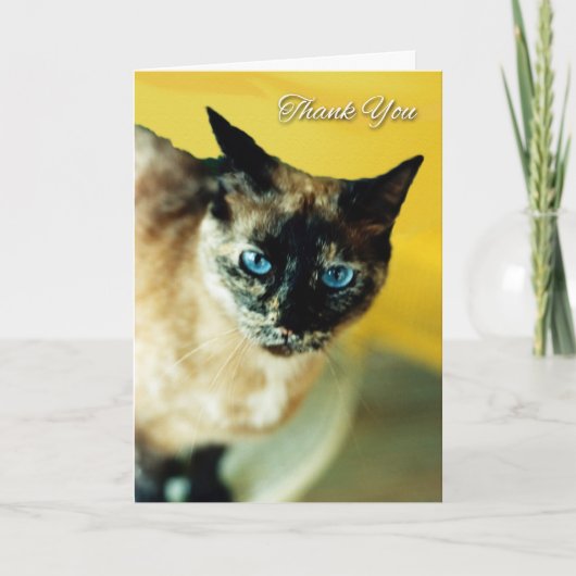 Dankjewel kaart met gevlekte gekleurde Siamese kat (Voorkant)