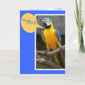 Dankjewel kaart van Parrot (Voorkant)