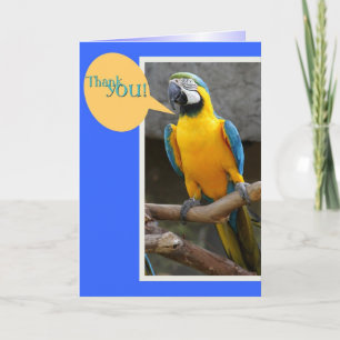 Dankjewel kaart van Parrot