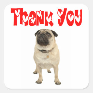 Dankjewel Pug Puppie Hond Grappige Sticker / Label