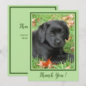 Dankjewel Zwarte Labrador Puppy - Schattigee herfs Bedankkaart (Voorkant / Achterkant)