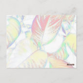 Dankkaart Briefkaart (Achterkant)