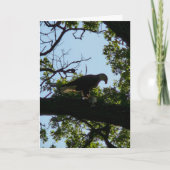 "Dankzegging voor het Eten" Dankkaart Kaart (Voorkant)