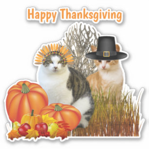 Dankzeggings Cute Pilgrim Katten Vinyl Uitknip  Sticker