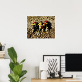 Danni de Zeemeermin en de Piraten Poster (Thuiskantoor)