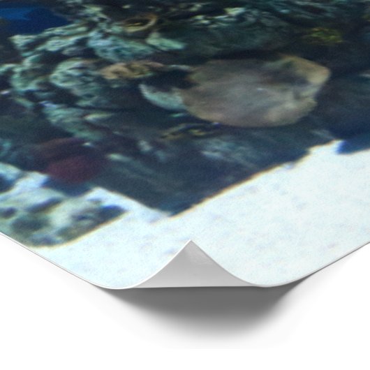 Danni het Mermaid-Poster Poster (Hoek)