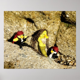 Danni het Poster Mermaid en Pirates