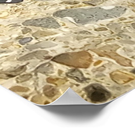 Danni het Poster Mermaid en Pirates (Hoek)