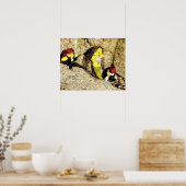 Danni het Poster Mermaid en Pirates (Keuken)