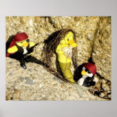 Danni het Poster Mermaid en Pirates (Voorkant)