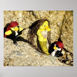 Danni het Poster Mermaid en Pirates