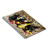 Danni the Mermaid and Pirates Notitieboek (Rechterzijde)