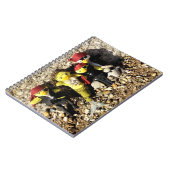 Danni the Mermaid and Pirates Notitieboek (Linkerzijde)