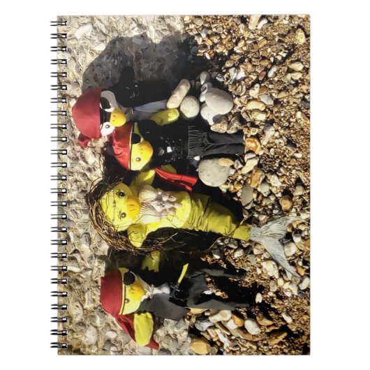 Danni the Mermaid and Pirates Notitieboek (Voorkant)