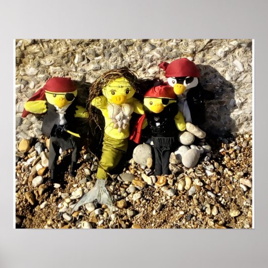 Danni the Mermaid and the Pirates Poster (Voorkant)