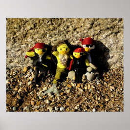 Danni the Mermaid and the Pirates Poster