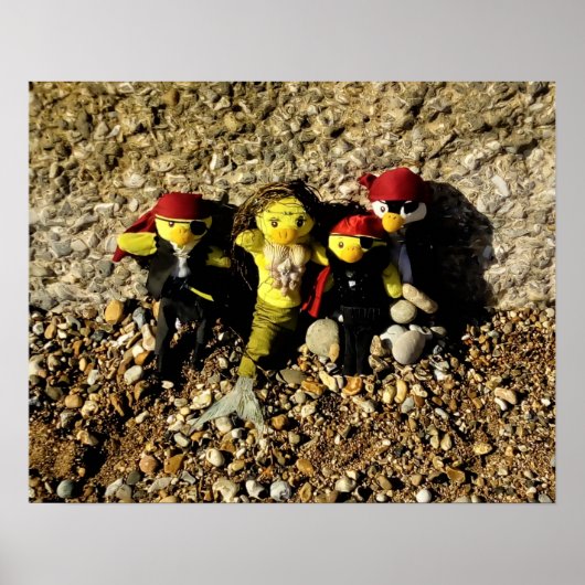 Danni the Mermaid and the Pirates Poster (Voorkant)