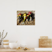 Danni the Mermaid and the Pirates Poster (Keuken)