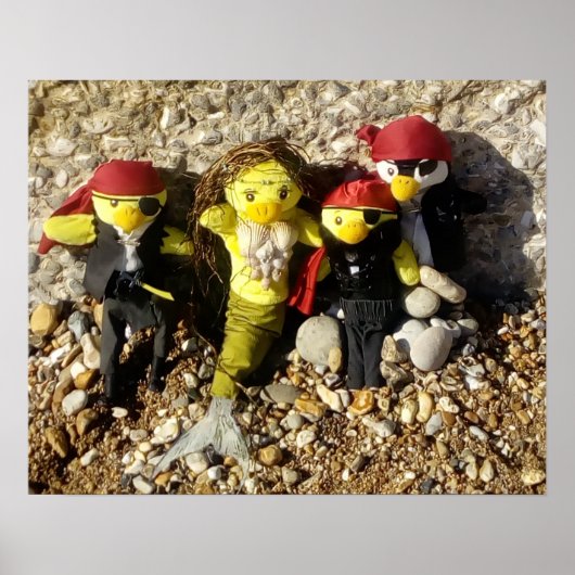 Danni the Mermaid and the Pirates Poster (Voorkant)