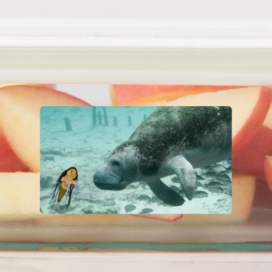 Danni the Mermaid en haar vrienden Labels (Aangebracht)