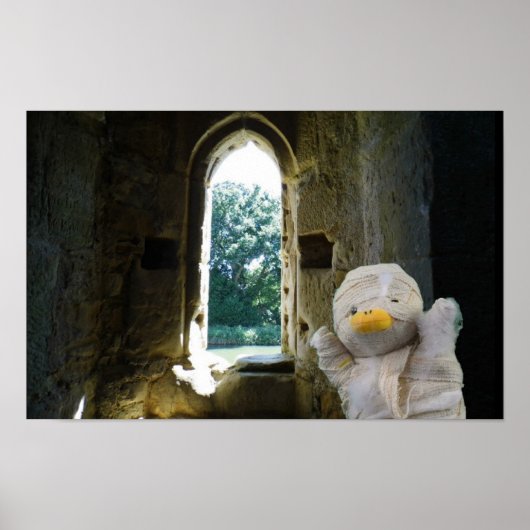Danny Duck de Mummie Poster (Voorkant)