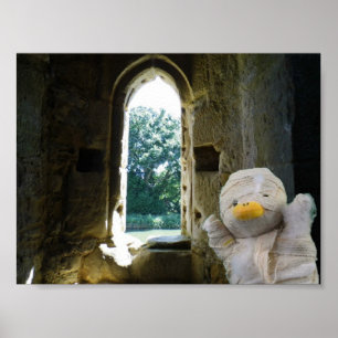 Danny Duck de Mummie Poster