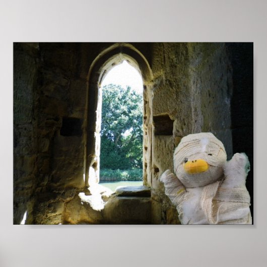 Danny Duck de Mummie Poster (Voorkant)