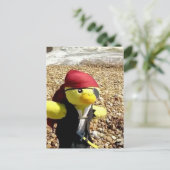 Danny Duck de Piraat Briefkaart (Staand voorkant)