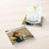 Danny Duck de Piraat Glazen Onderzetter (Schuin)