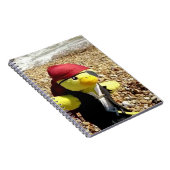 Danny Duck de Piraat Notitieboek (Rechterzijde)