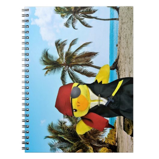 Danny Duck de Piraat Notitieboek (Voorkant)