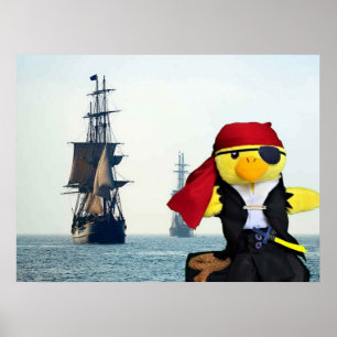 Danny Duck de Piraat. Poster