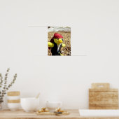 Danny Duck de Piraat Poster (Keuken)