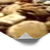 Danny Duck de Piraat Poster (Hoek)