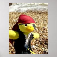 Danny Duck de Piraat