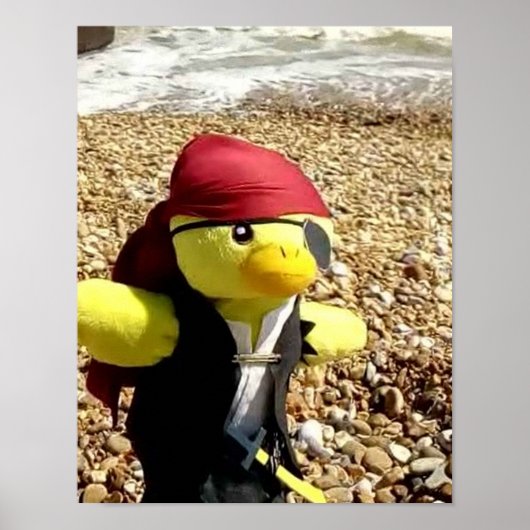 Danny Duck de Piraat Poster (Voorkant)