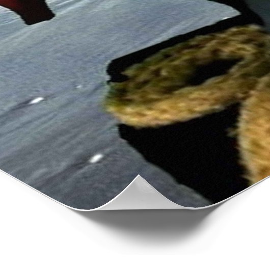 Danny Duck de piraat. Poster (Hoek)