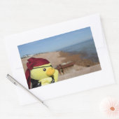 Danny Duck de Piraat Rechthoekige Sticker (Envelop)