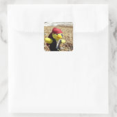 Danny Duck de Piraat  Vierkante Sticker (Tas)