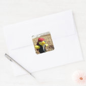 Danny Duck de Piraat  Vierkante Sticker (Envelop)