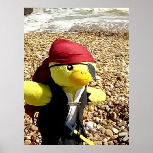 Danny Duck de Pirate Poster (Voorkant)