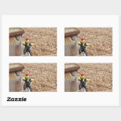 Danny Duck de Pirate Retangular Sticker (Vel)